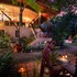the cockatoo nature resort and spa