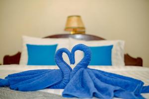 the siem reap chilled backpacker