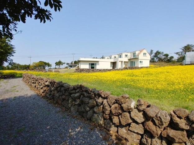 jeju bijarim very mung pension