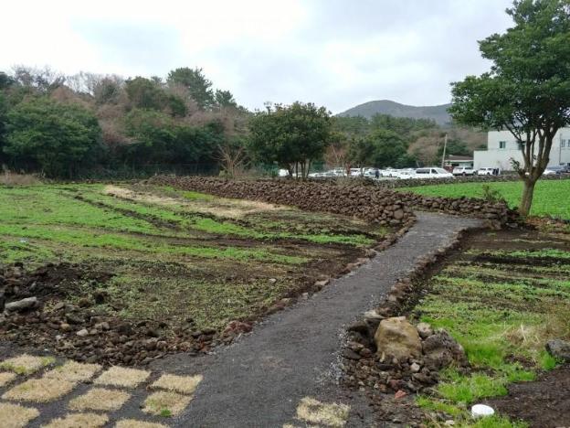jeju bijarim very mung pension