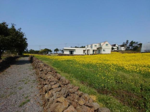 jeju bijarim very mung pension