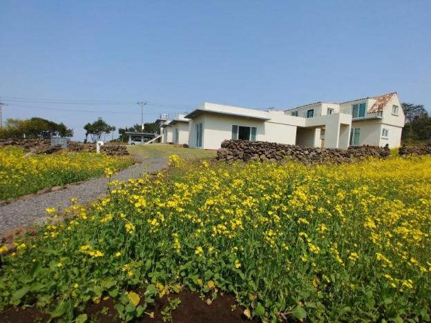 jeju bijarim very mung pension