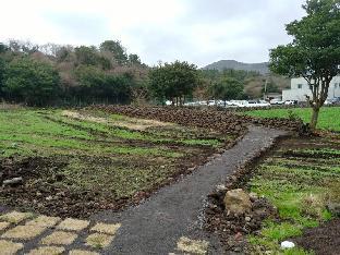 jeju bijarim very mung pension