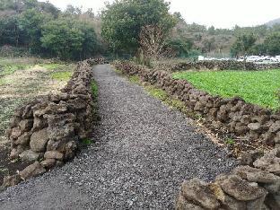 jeju bijarim very mung pension