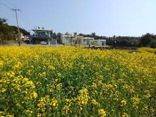 jeju bijarim very mung pension
