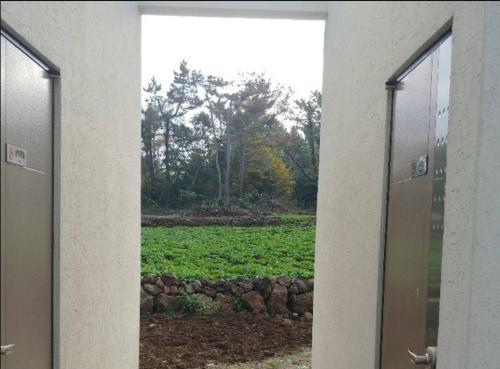 jeju bijarim very mung pension