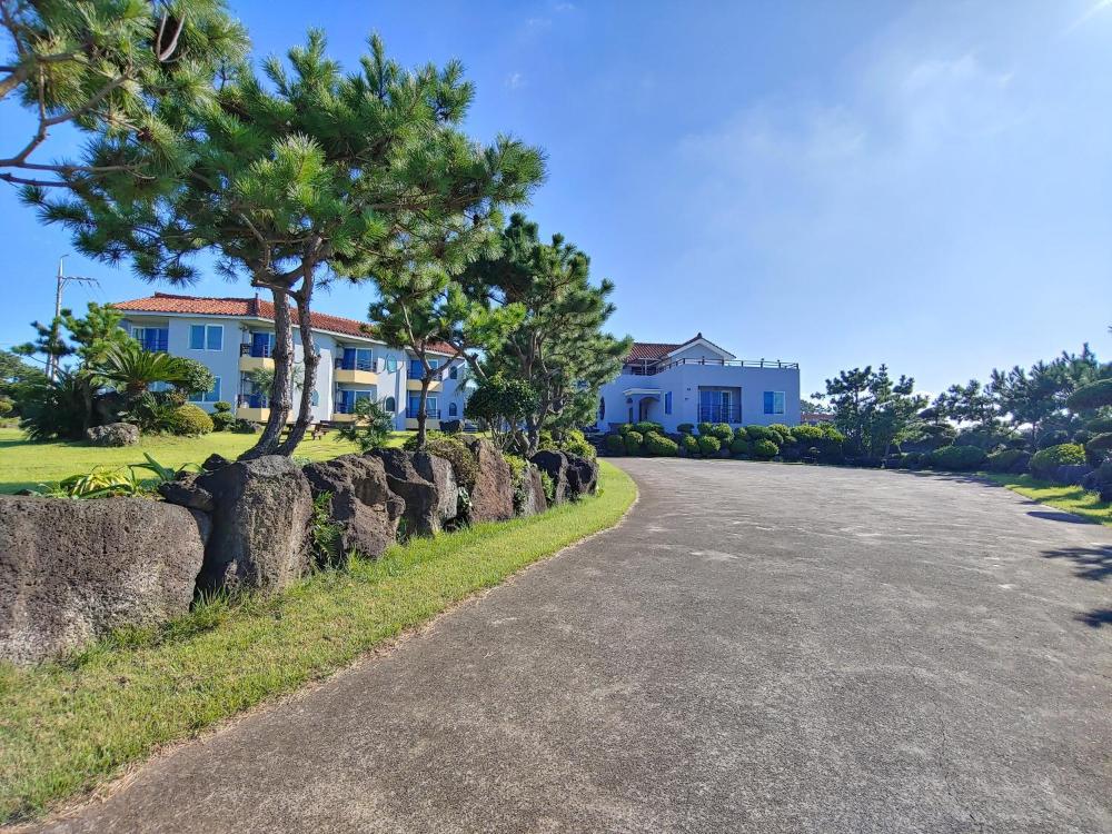 jeju thehouse pension