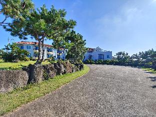 jeju thehouse pension