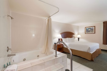 best western manassas