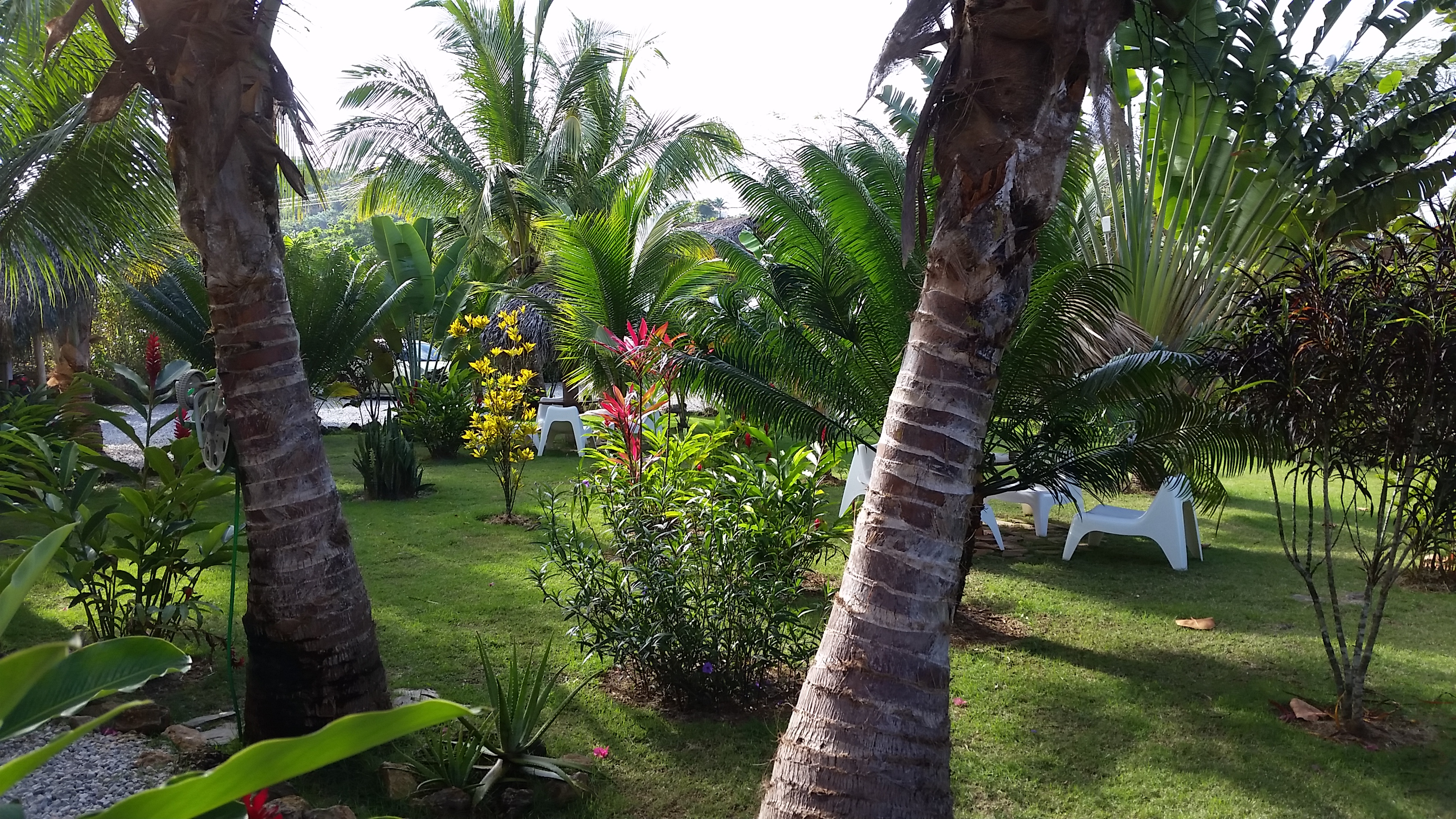 residencia el balata