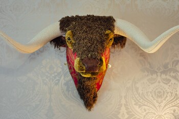 elm grove country house