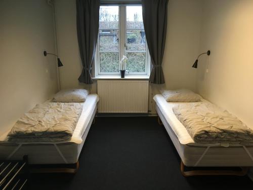 kolding