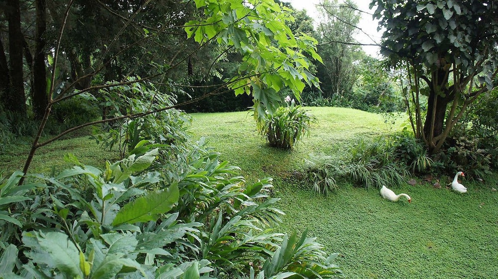 san jose de la montana