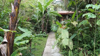 san jose de la montana
