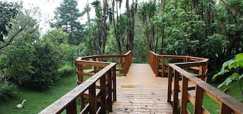 san jose de la montana