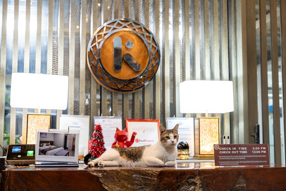 kamalig ng caraga hotel near sm mall butuan