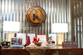 kamalig ng caraga hotel near sm mall butuan