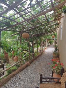 les jardins de skoura