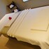 katra marriott resort and spa
