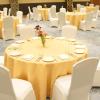 katra marriott resort and spa