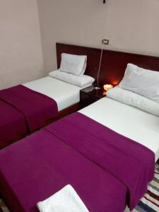Transit Hostel Alexandria ,Meshmesh Al Basal>>Alexandria,2 star