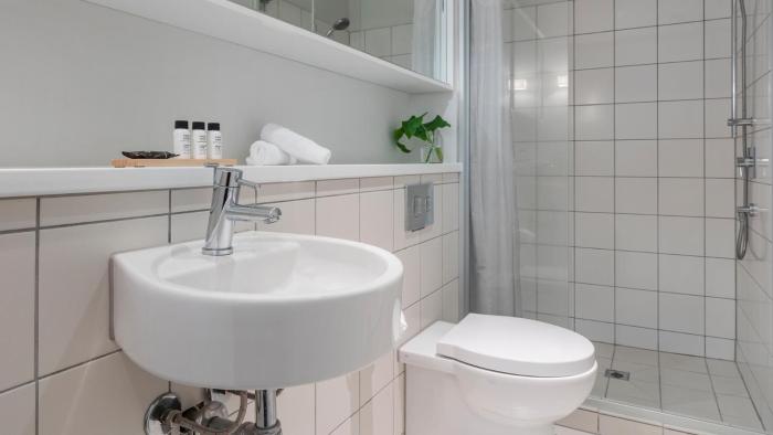 auckland harbour suites