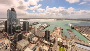 auckland harbour suites