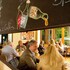 bad harzburg