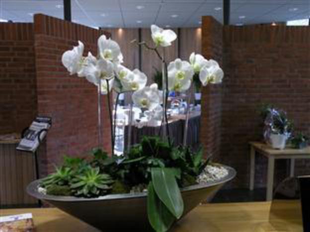 best western valhall park hotell