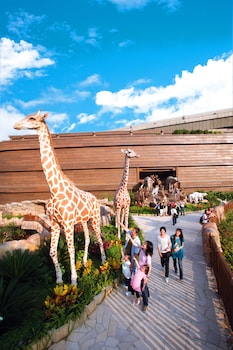 noahs ark