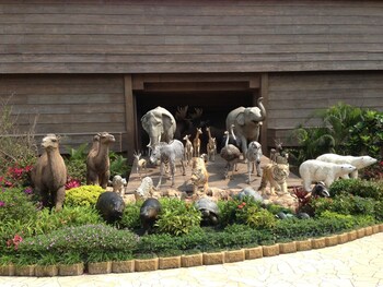 noahs ark