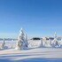 pellestova hotell hafjell