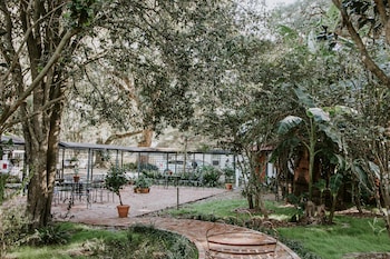 mouton plantation