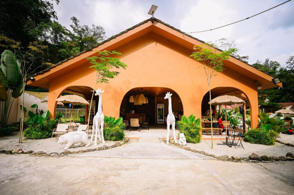 lilla rainforest retreats by swing and pillows