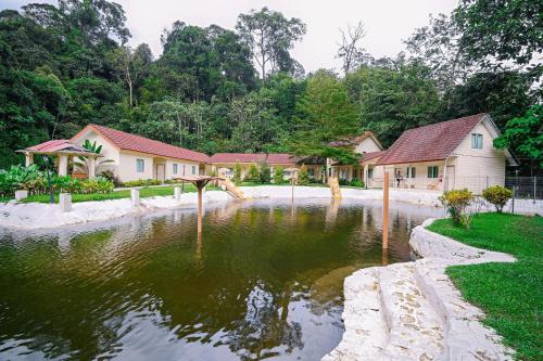lilla rainforest retreats by swing and pillows