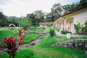 lilla rainforest retreats by swing and pillows