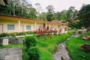 lilla rainforest retreats by swing and pillows