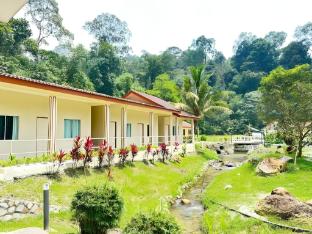lilla rainforest retreats by swing and pillows