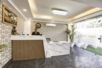 lime wood stay studio apartment