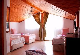 limon otel akyaka