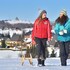 seiffen