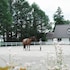 lodge kent