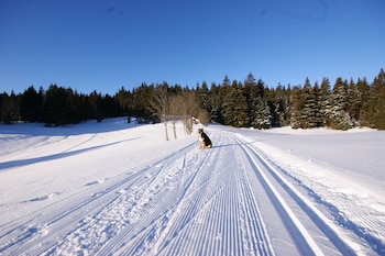 furtwangen