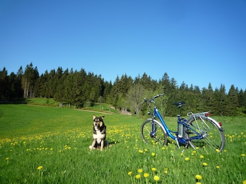 furtwangen
