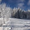 furtwangen