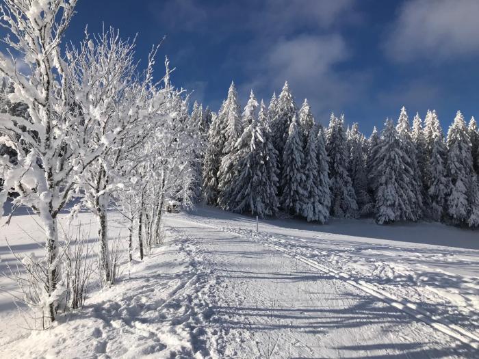 furtwangen
