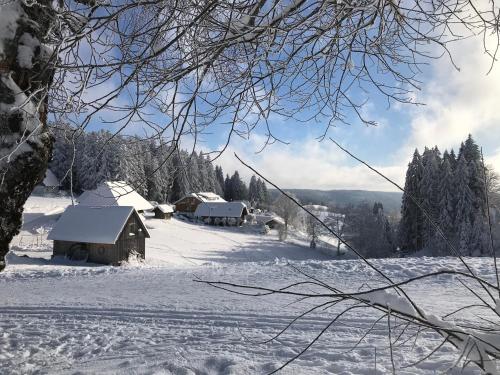 furtwangen