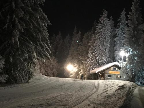 furtwangen