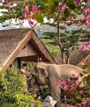 3Pok Resort Maewang Jinxing,,3 star