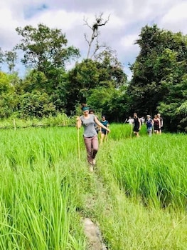 3pok resort maewang jinxing